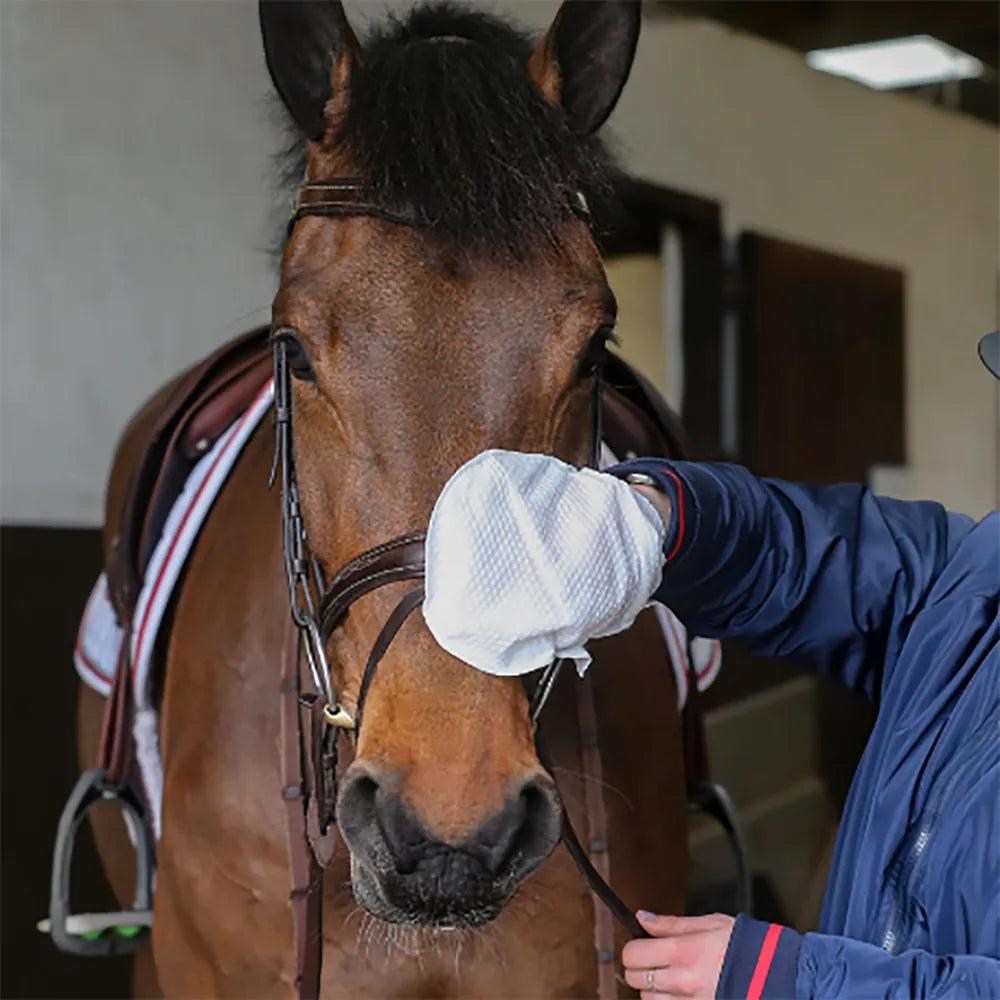 Belvoir Tack Cleaner Mitt