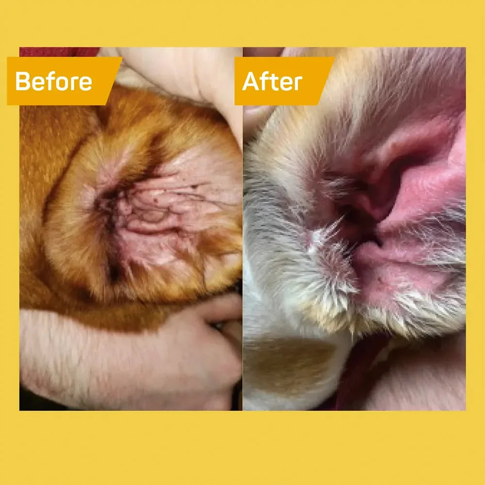 Silver Honey Rapid Ear Care Vet Strength Ear Treatment Kit