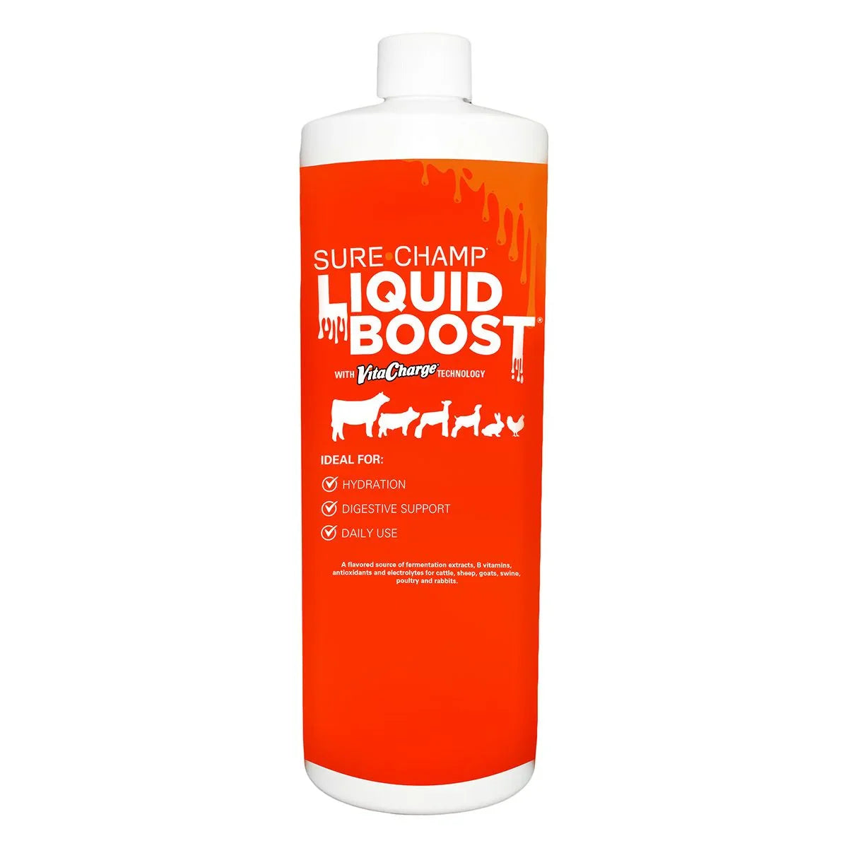 Sure Champ Liquid Boost - Livestock Supplements and Vitamins Biozyme Inc Houlihan Saddlery LLC