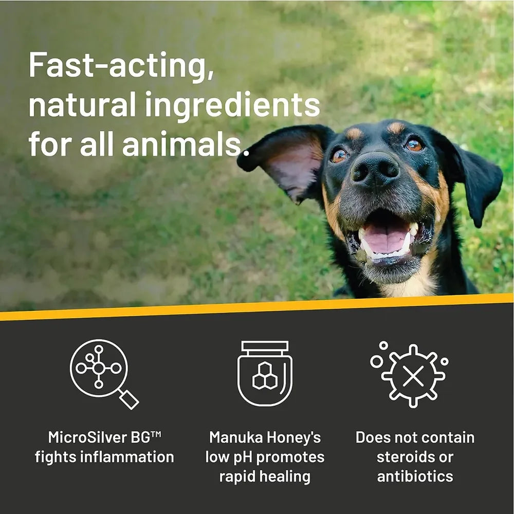 Silver Honey Rapid Ear Care Vet Strength Ear Rinse
