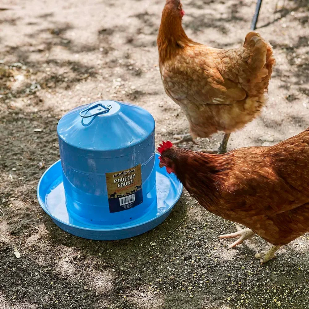 Galvanized Poultry Fount