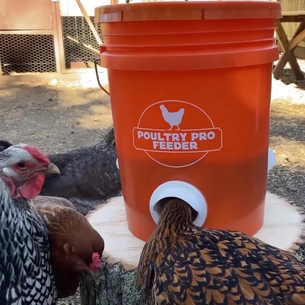 Poultry Pro Feeder Kit