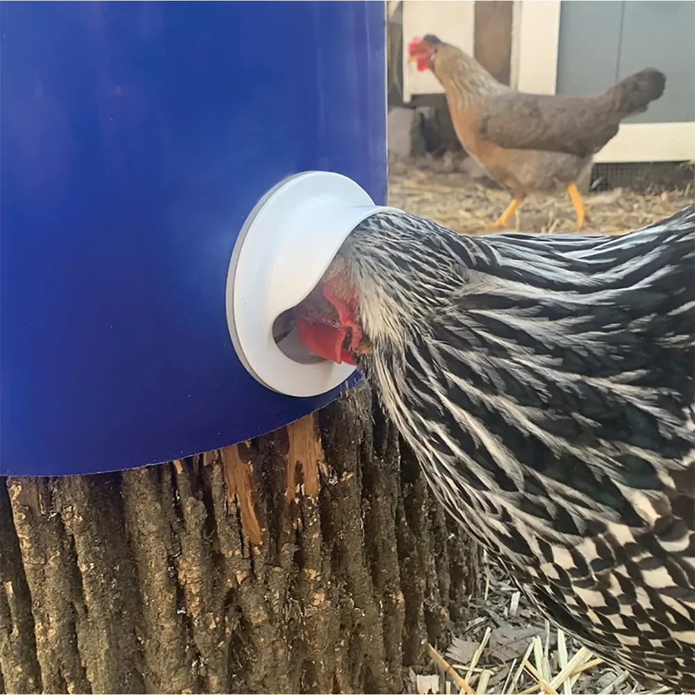 Poultry Pro Feeder Individual Port