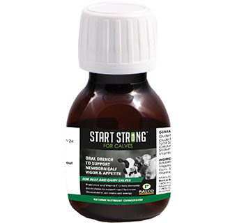 Start Strong for Calves