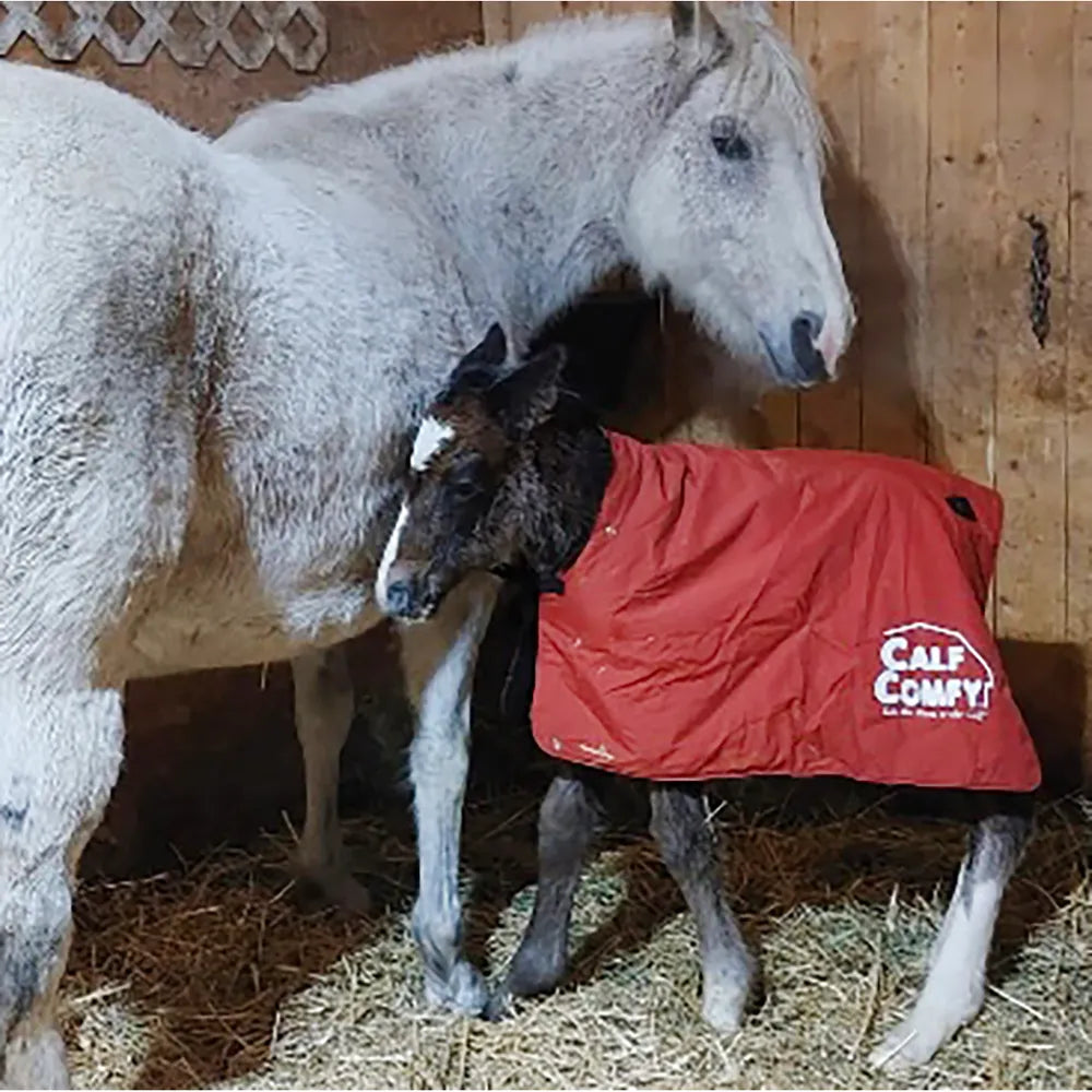 Kalf Kozie Calf & Foal Blanket