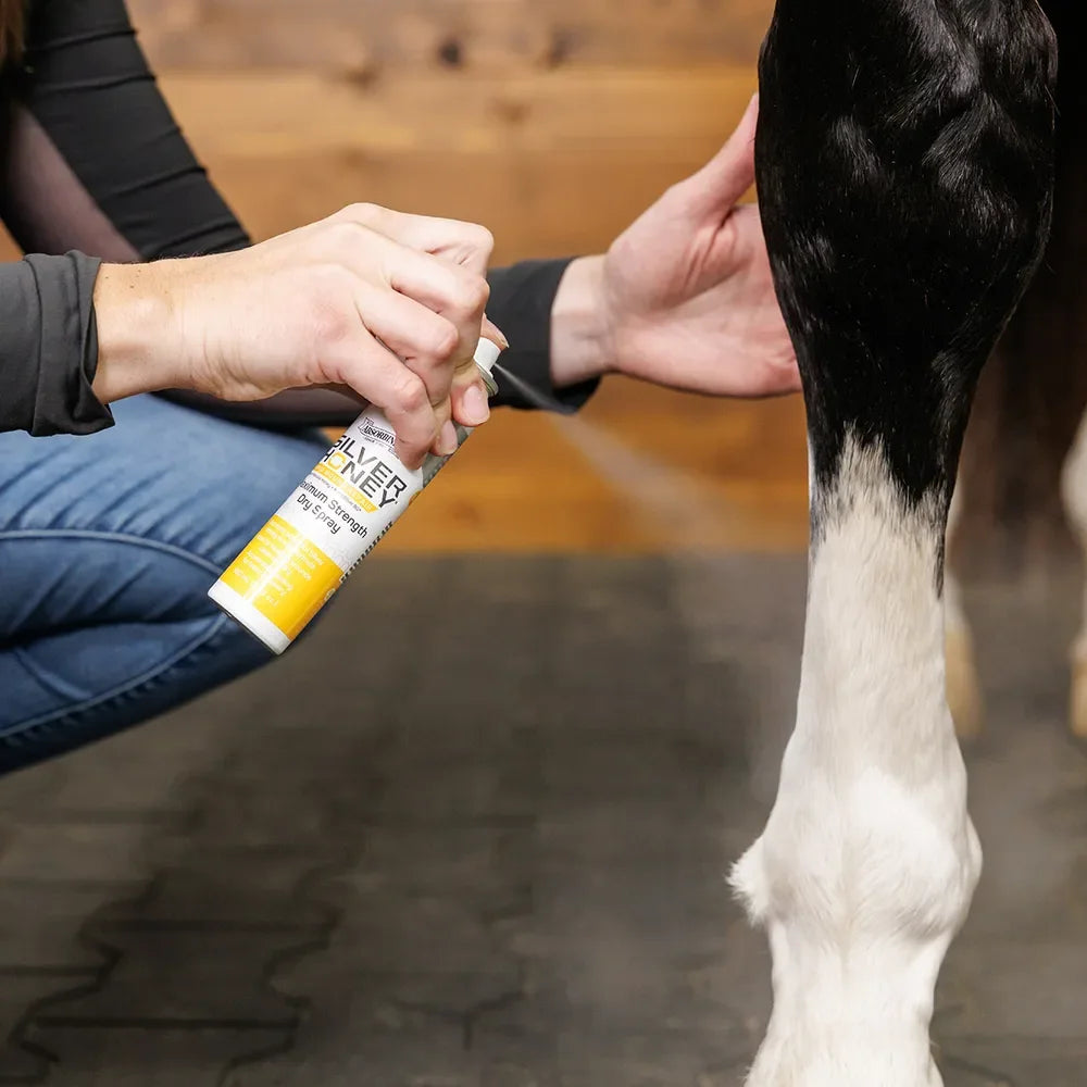 Silver Honey Rapid Wound Repair Maximum Strength Dry Spray