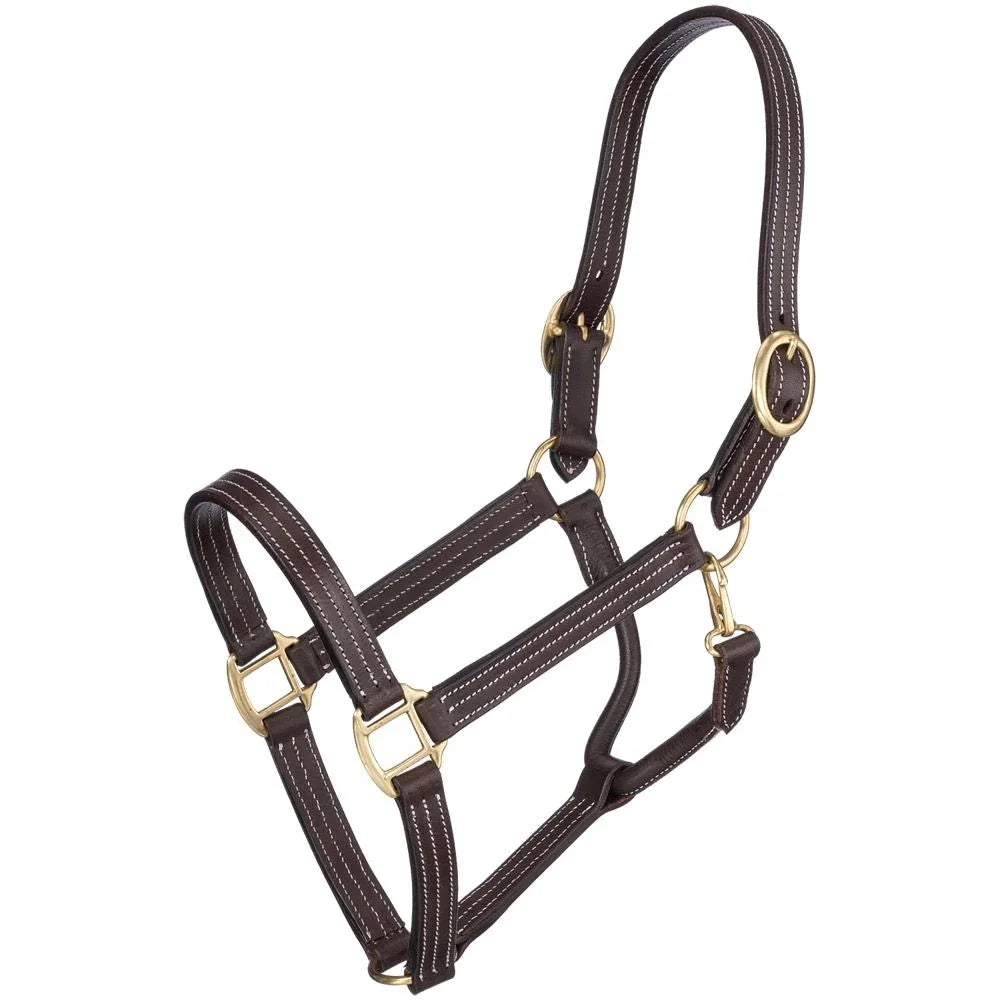 Tough1 Premium Harness Leather Halter - Horse Halter - Tough1 - Houlihan Saddlery LLC