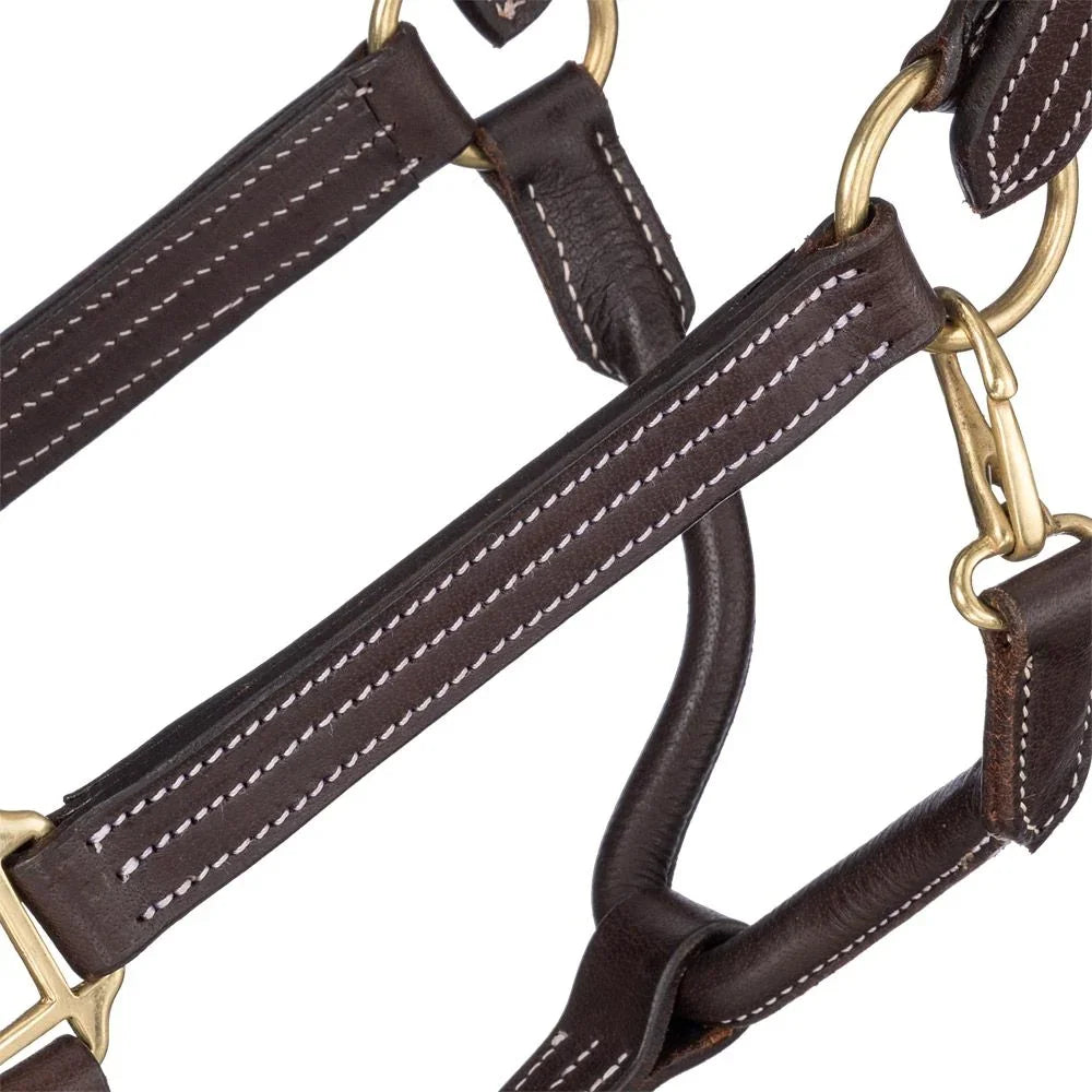 Tough1 Premium Harness Leather Halter - Horse Halter - Tough1 - Houlihan Saddlery LLC