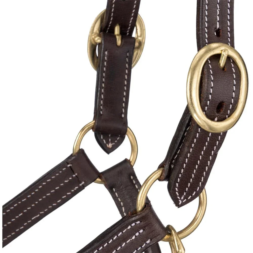 Tough1 Premium Harness Leather Halter - Horse Halter - Tough1 - Houlihan Saddlery LLC