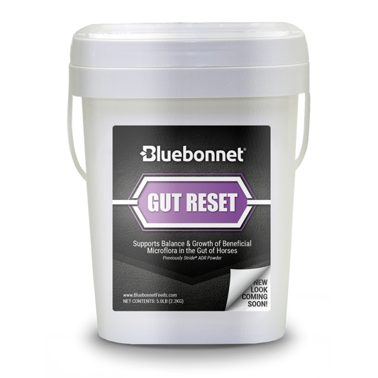 Bluebonnet Gut Reset Powder - Houlihan Saddlery LLC