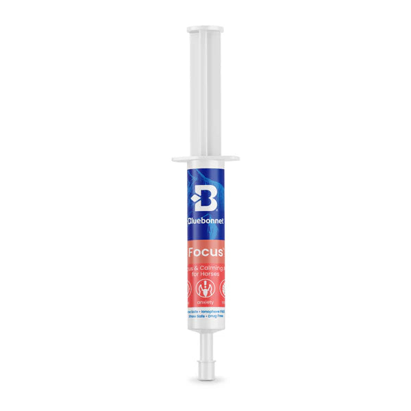 Focus™ Paste - Horse Supplements Bluebonnet Feeds Houlihan Saddlery LLC