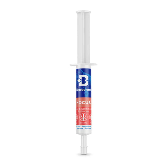 Focus™ Paste - Horse Supplements Bluebonnet Feeds Houlihan Saddlery LLC