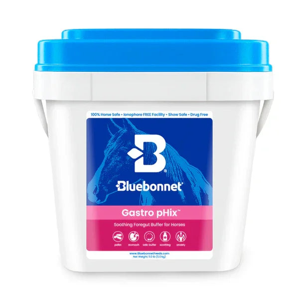 Gastro pHix™ - Horse Supplements Bluebonnet Feeds Houlihan Saddlery LLC