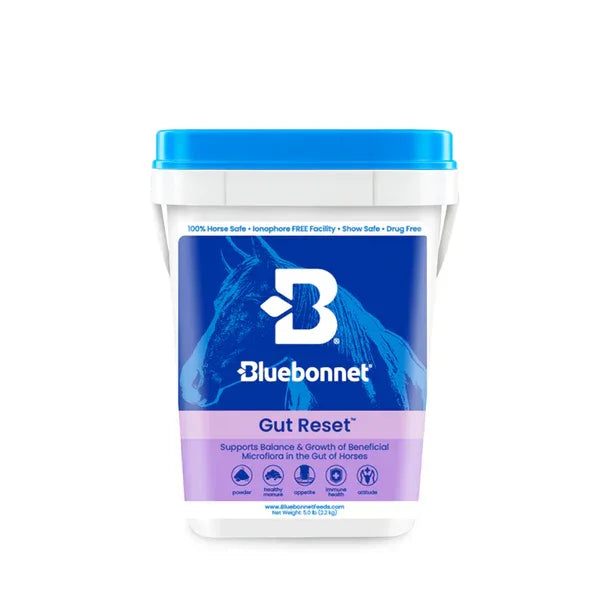 Gut Reset™ Powder - Horse Supplements Bluebonnet Feeds Houlihan Saddlery LLC