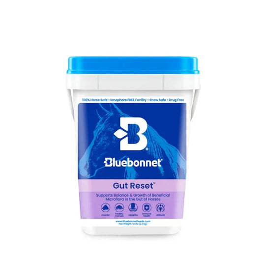 Gut Reset™ Powder - Horse Supplements Bluebonnet Feeds Houlihan Saddlery LLC