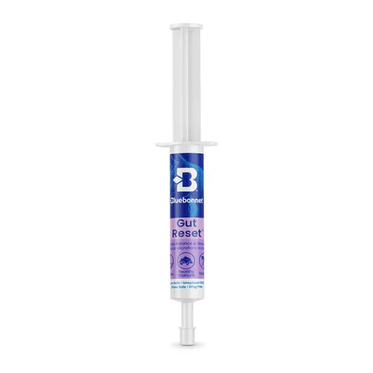 Gut Reset™ Paste - Horse Supplements Bluebonnet Equine Supplements Houlihan Saddlery LLC