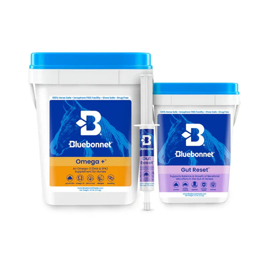 Hind Gut Rescue Program™ - Horse Supplements Bluebonnet Feeds Houlihan Saddlery LLC