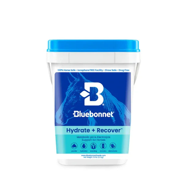 Hydrate + Recover™ Powder - Horse Supplements Bluebonnet Feeds Houlihan Saddlery LLC
