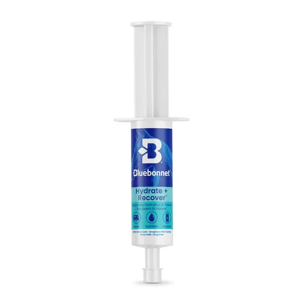 Hydrate + Recover™ Paste - Horse Supplements Bluebonnet Feeds Houlihan Saddlery LLC
