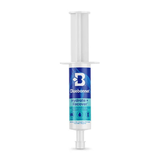 Hydrate + Recover™ Paste - Horse Supplements Bluebonnet Feeds Houlihan Saddlery LLC