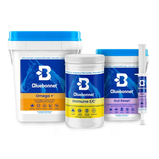 Immune Rescue Program™ - Horse Supplements Bluebonnet Feeds Houlihan Saddlery LLC
