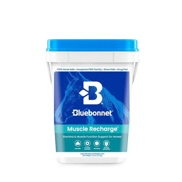 Muscle Recharge™ - Horse Supplements Bluebonnet Feeds Houlihan Saddlery LLC