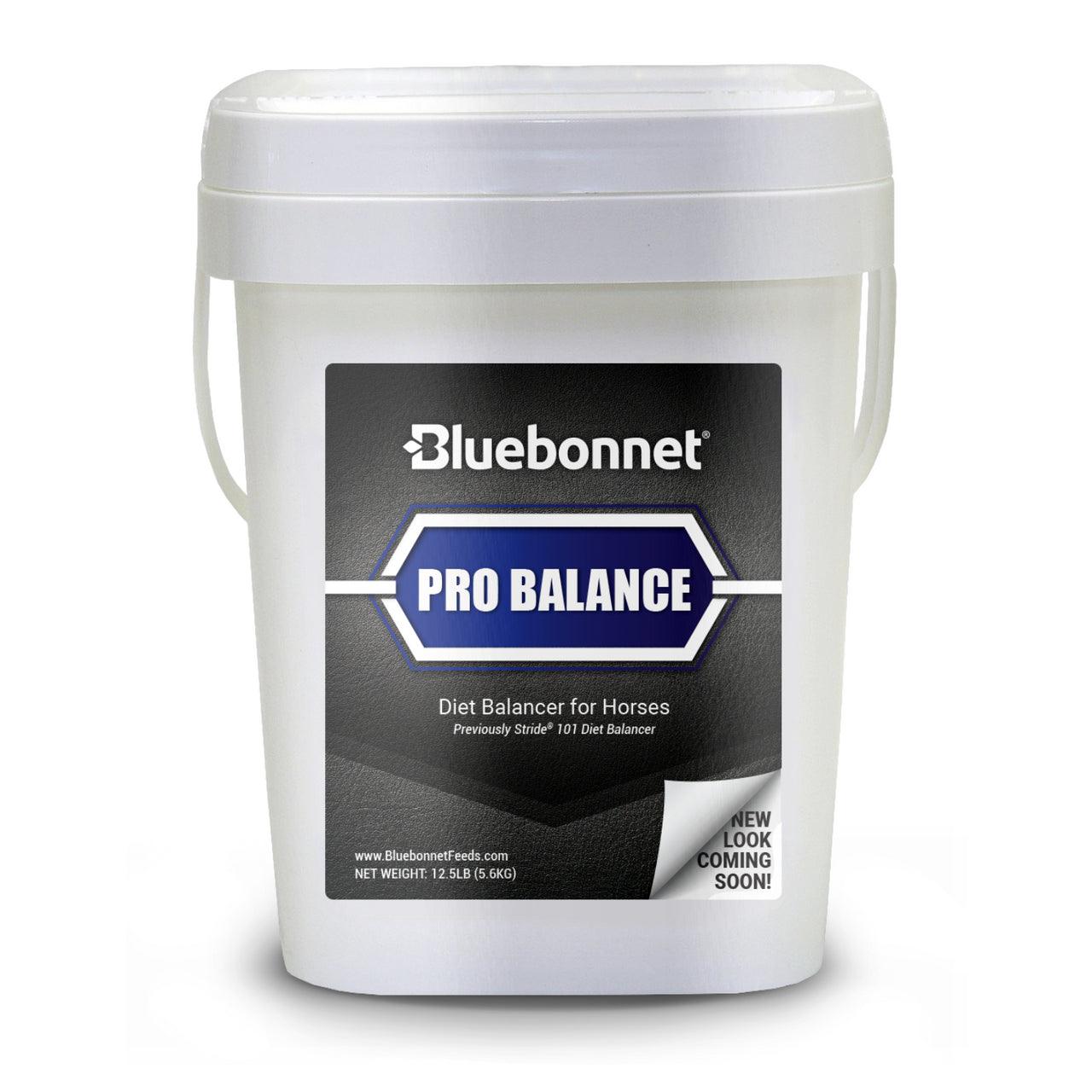 Bluebonnet Pro Balance - Houlihan Saddlery LLC