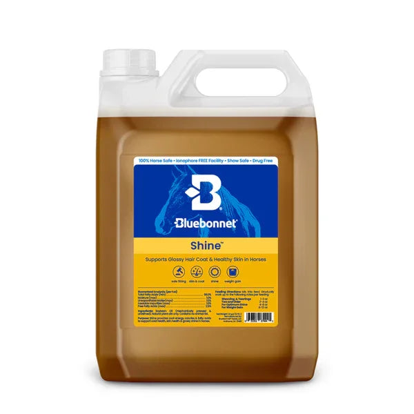 Bluebonnet Shine - Horse Supplements Bluebonnet Feeds Houlihan Saddlery LLC