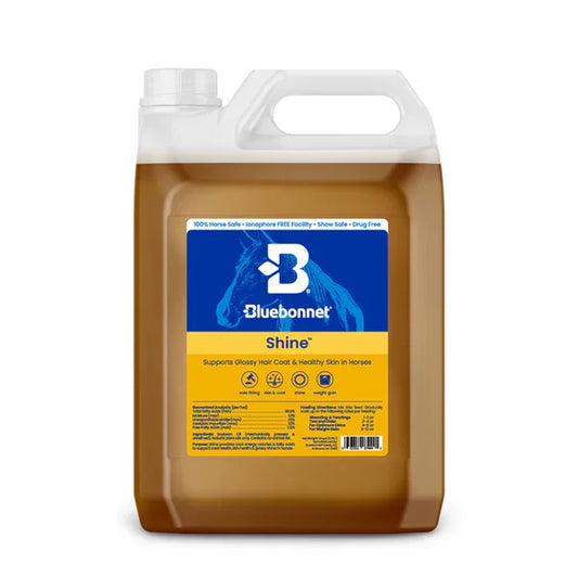 Bluebonnet Shine - Horse Supplements Bluebonnet Feeds Houlihan Saddlery LLC