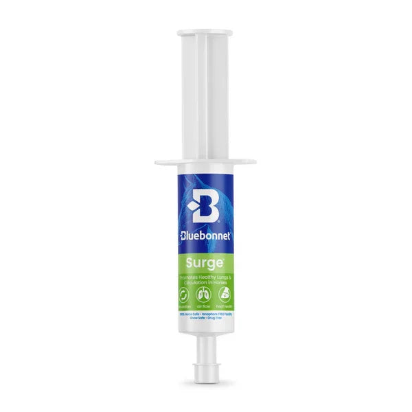 Surge™ Paste - Horse Supplements Bluebonnet Feeds Houlihan Saddlery LLC