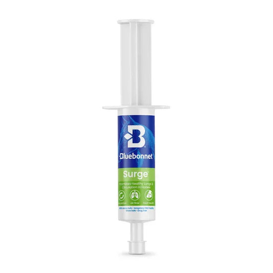 Surge™ Paste - Horse Supplements Bluebonnet Feeds Houlihan Saddlery LLC