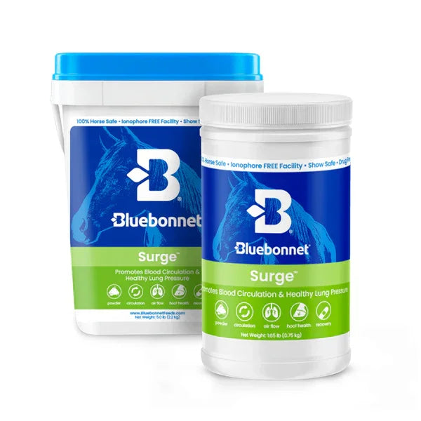 Surge™ Powder - Horse Supplements Bluebonnet Feeds Houlihan Saddlery LLC