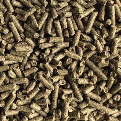 Gastro pHix™ - Horse Supplements Bluebonnet Feeds Houlihan Saddlery LLC
