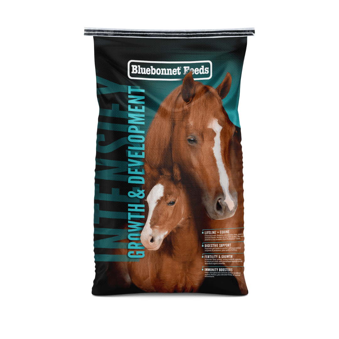 Intensify® Growth & Development - Houlihan Saddlery LLC