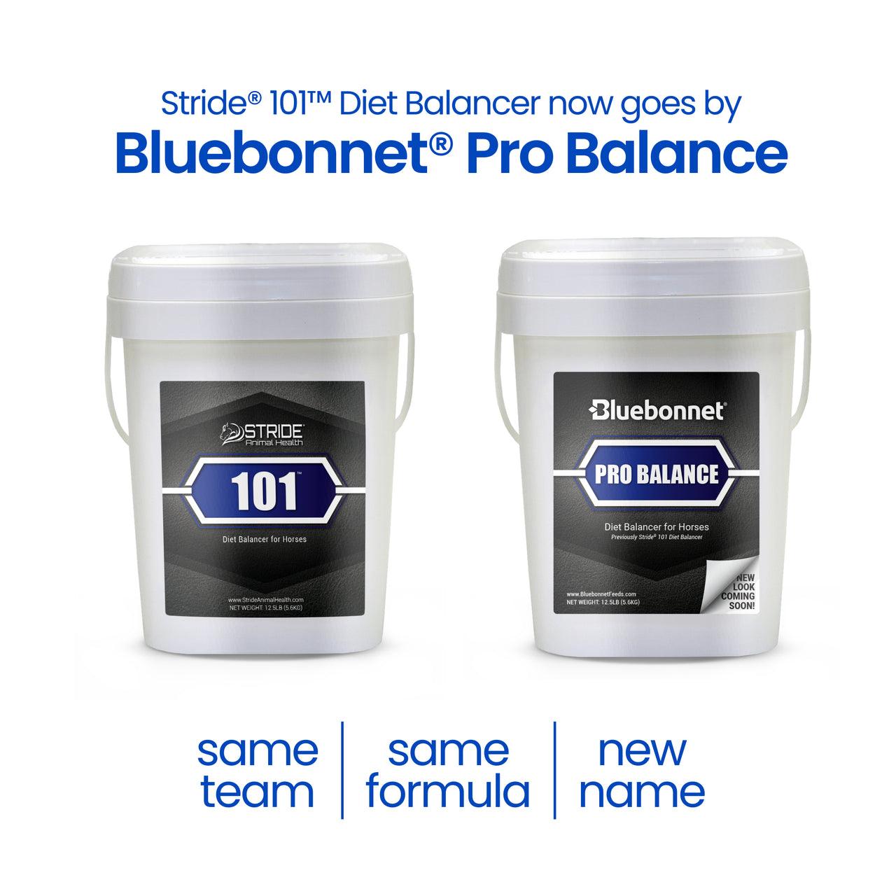 Bluebonnet Pro Balance - Houlihan Saddlery LLC