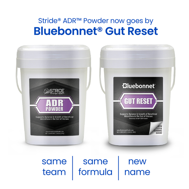 Bluebonnet Gut Reset Powder - Houlihan Saddlery LLC