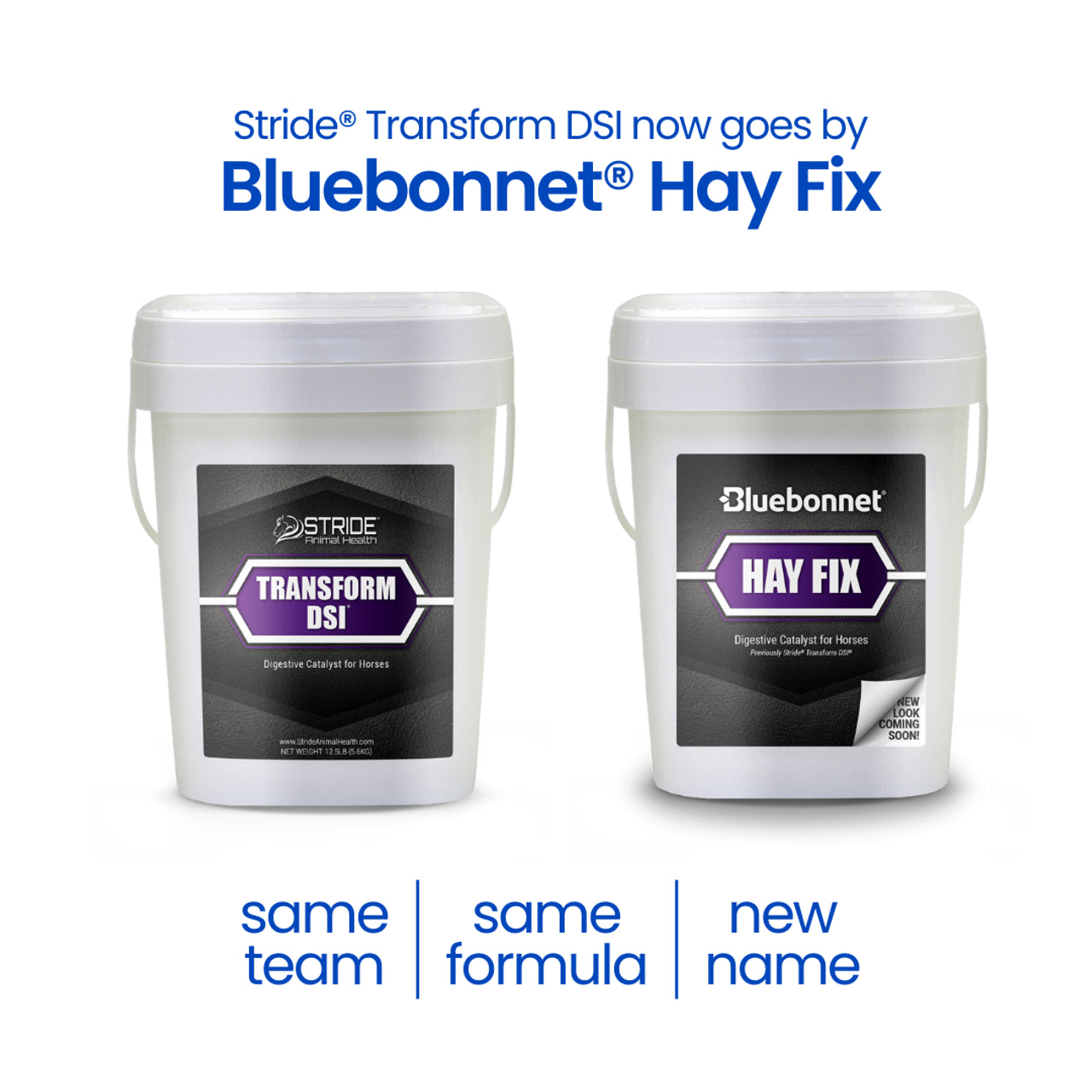 Bluebonnet Hay Fix - Houlihan Saddlery LLC