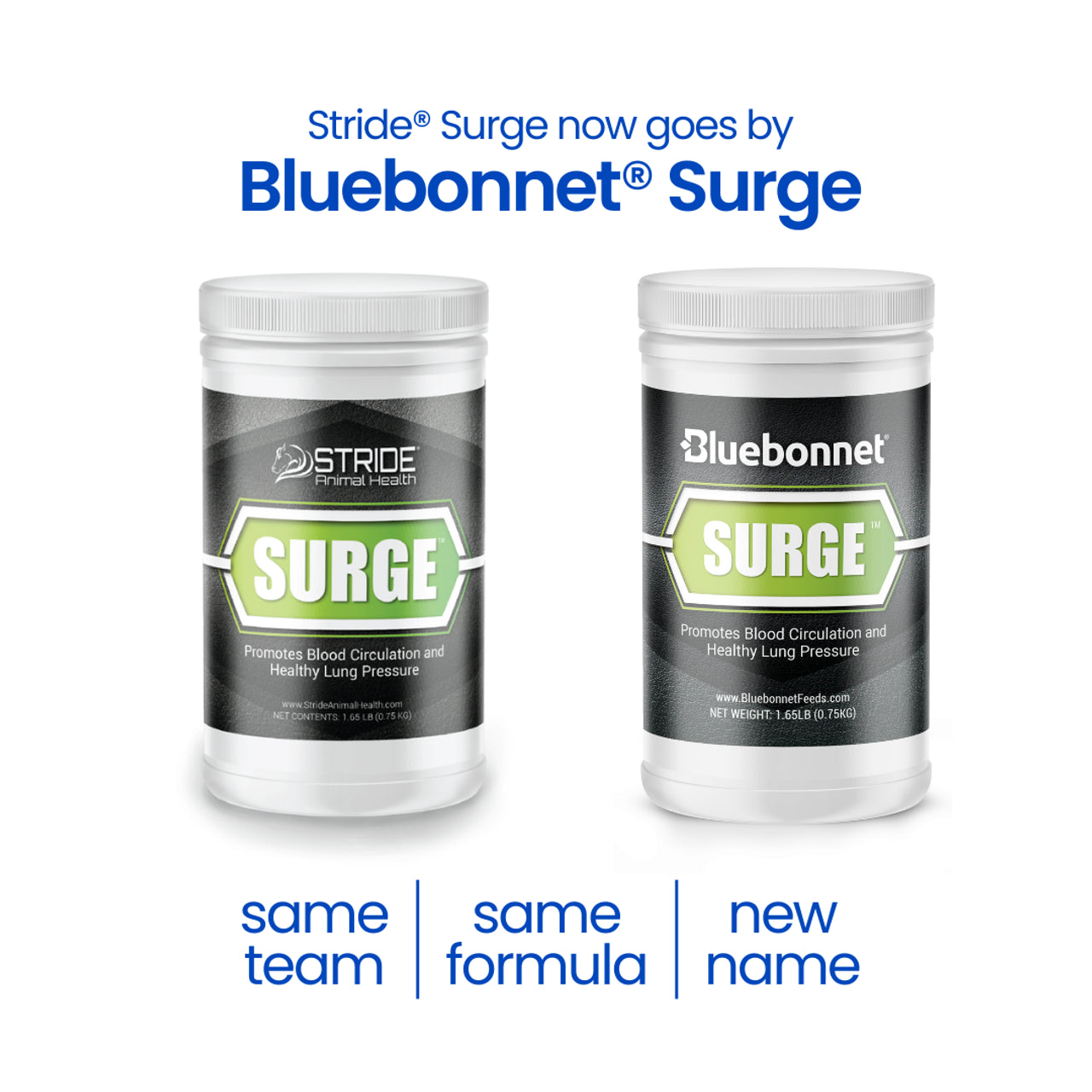 Bluebonnet Surge Powder - Houlihan Saddlery LLC