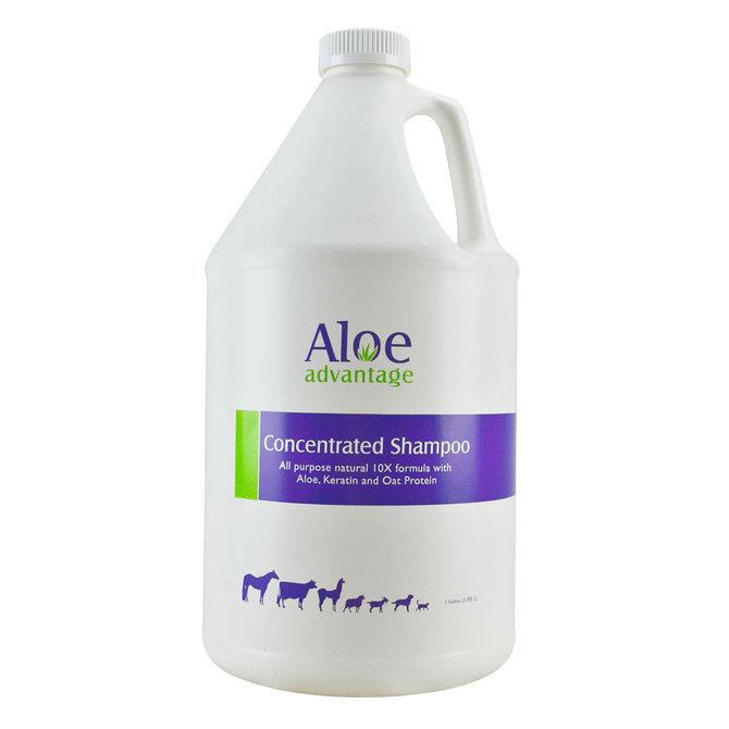 Aloe Advantage Concentrated Shampoo - Houlihan Saddlery LLC