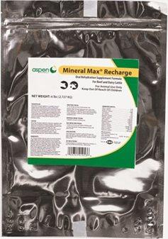 Aspen Vet Mineral Max Recharge - Houlihan Saddlery LLC