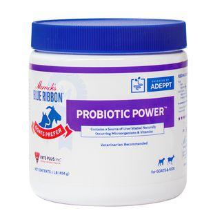 Blue Ribbon Goats Prefer Probiotic Power - Houlihan Saddlery LLC