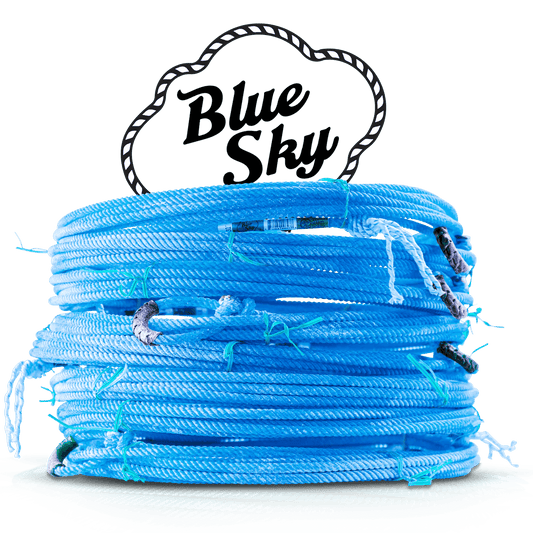 Blue Sky - Houlihan Saddlery LLC