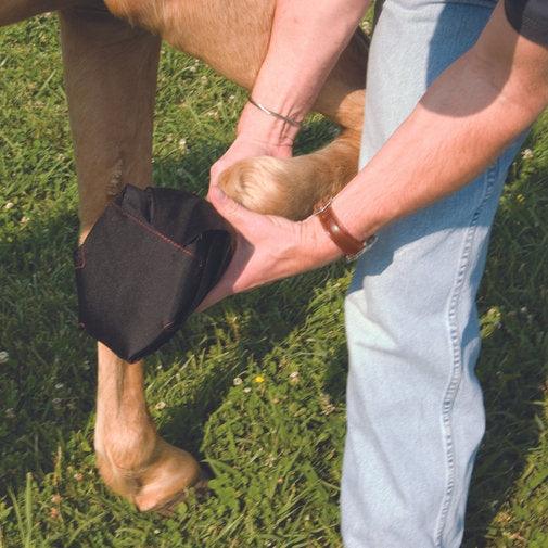 Equine Hoof Bandage - Houlihan Saddlery LLC