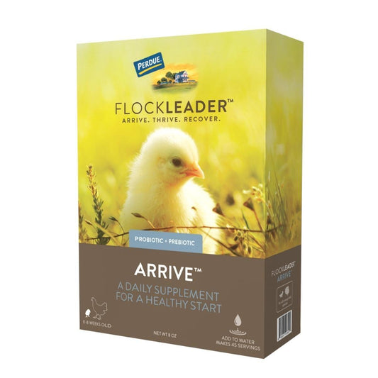 FlockLeader ARRIVE - Houlihan Saddlery LLC