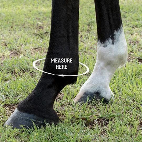 Iconoclast Rehabilitation Boots - Houlihan Saddlery LLC