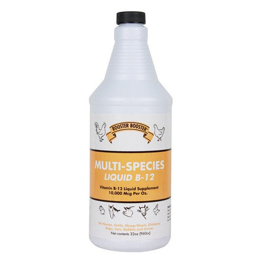 Liquid B-12 Supplement Multi-Species - Houlihan Saddlery LLC