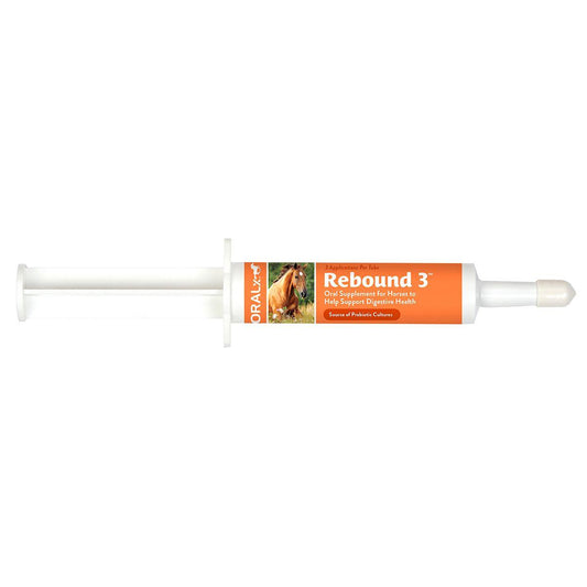 Oralx Rebound-3 Probiotic - Houlihan Saddlery LLC