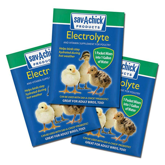 Sav-A-Chick Electrolyte & Vitamin Supplement - Houlihan Saddlery LLC