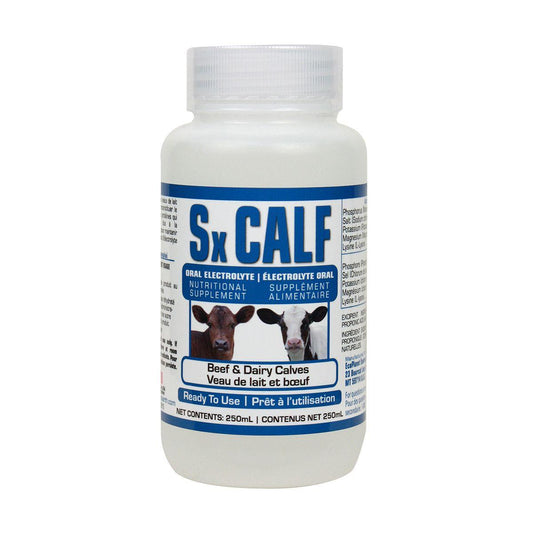 Sx Calf Oral Electrolyte - Houlihan Saddlery LLC