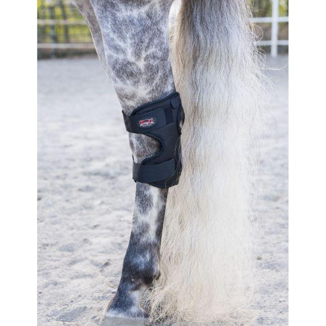 Tough 1 Magnetic Therapy Hock Boots - Houlihan Saddlery LLC